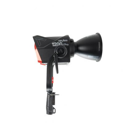 Aputure LS 1200D