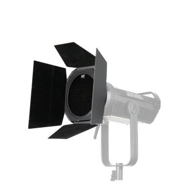 Aputure Fresnel 2x